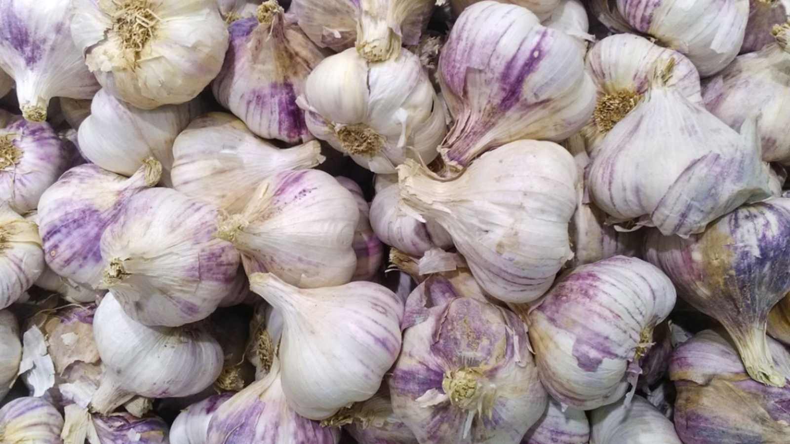10 Common Kitchen Mistakes That Make Food Go Bad Faster