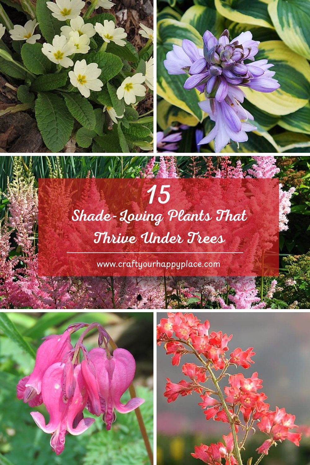 15 Shade-Loving Plants That Thrive Under Trees - Craft Your Happy Place