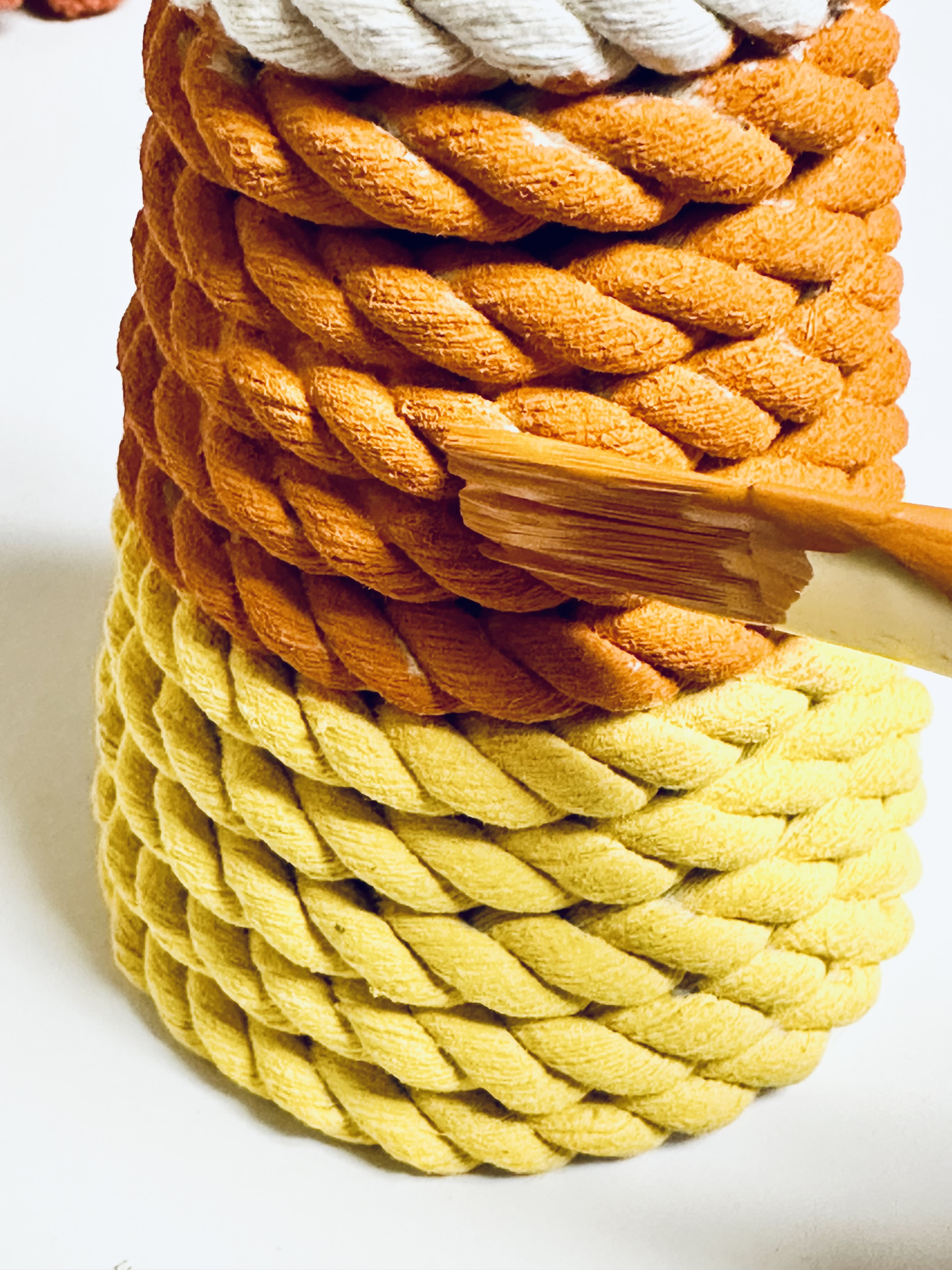 DIY Dollar Tree Candy Cane Rope Home Décor - Craft Your Happy Place