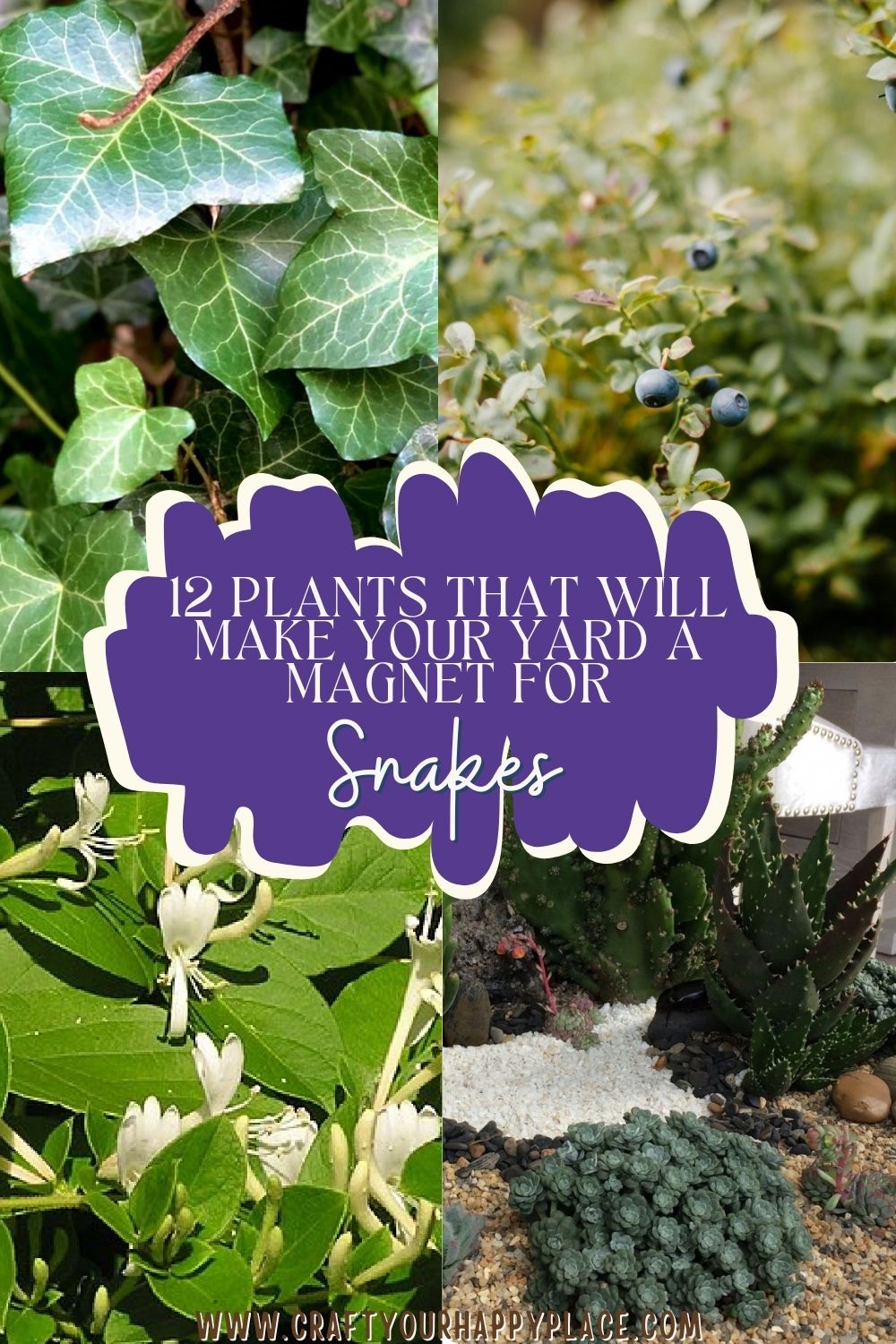 12 Plants That Will Make Your Yard a Magnet for Snakes - Craft Your ...