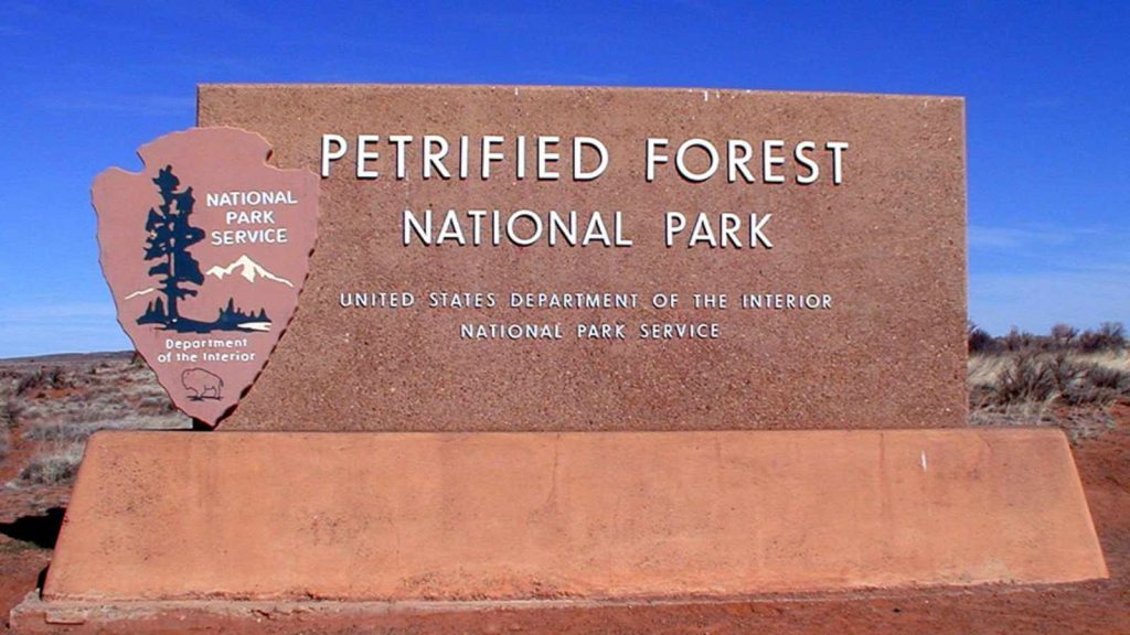 Petrified Forest (Holbrook, Arizona)