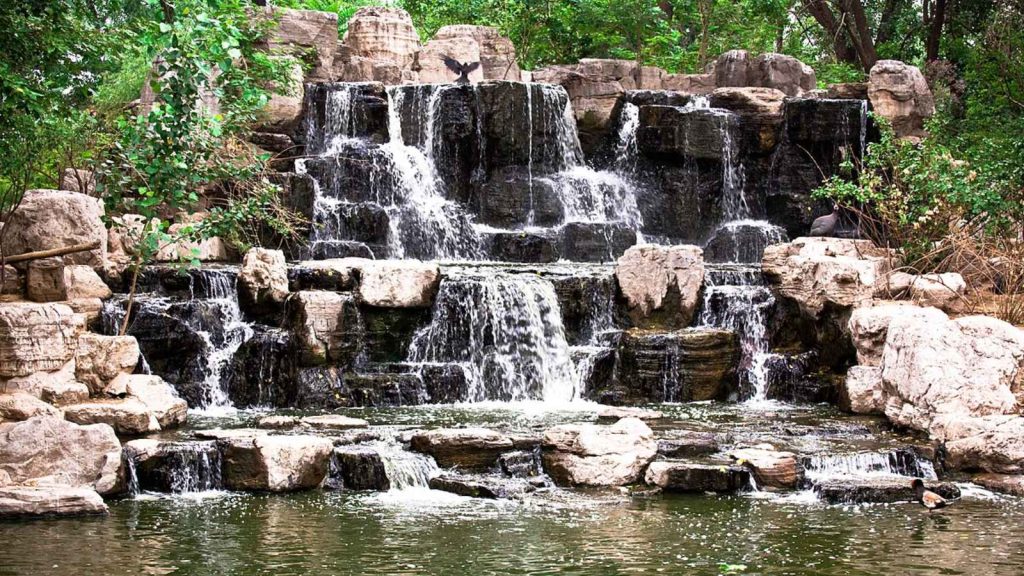 15 Serene Water Features to Transform Your Backyard Oasis