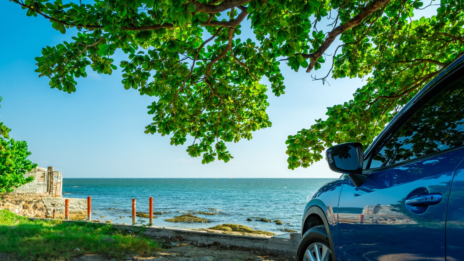 10 Ways That Planting Trees in Your Yard Can Actually Lower Your Car