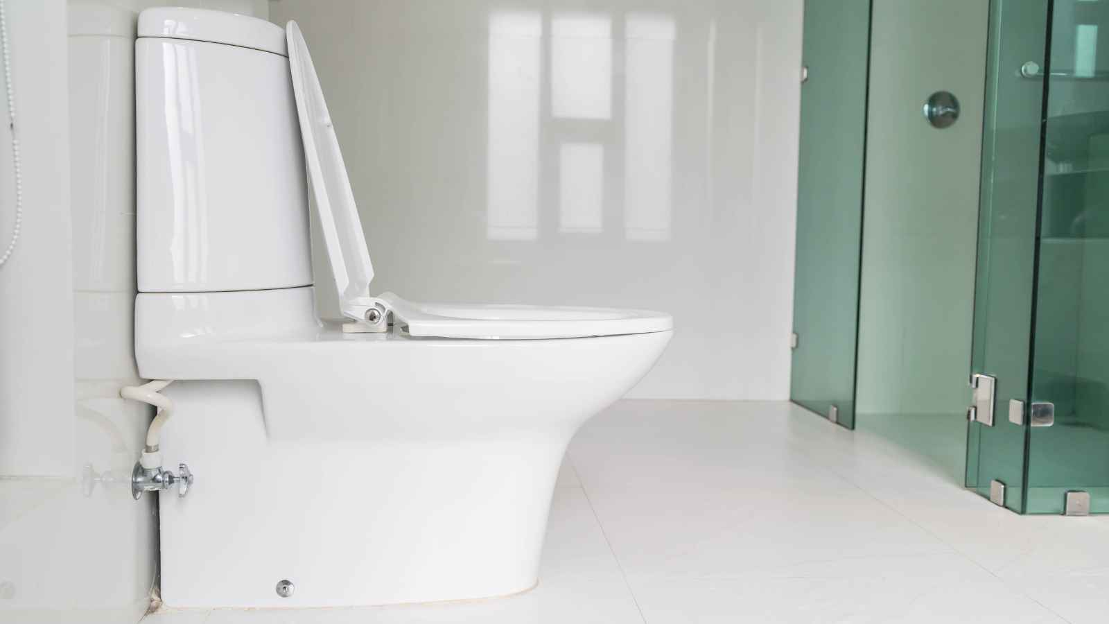 15 Genius Hacks for a Sparkling Clean Toilet