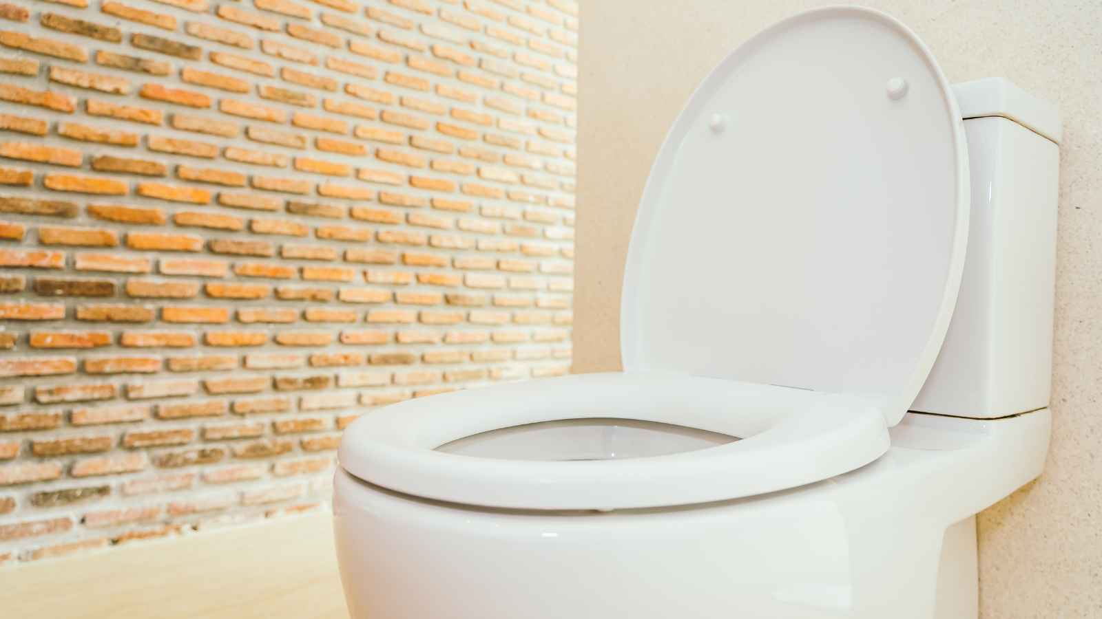 15 Genius Hacks for a Sparkling Clean Toilet