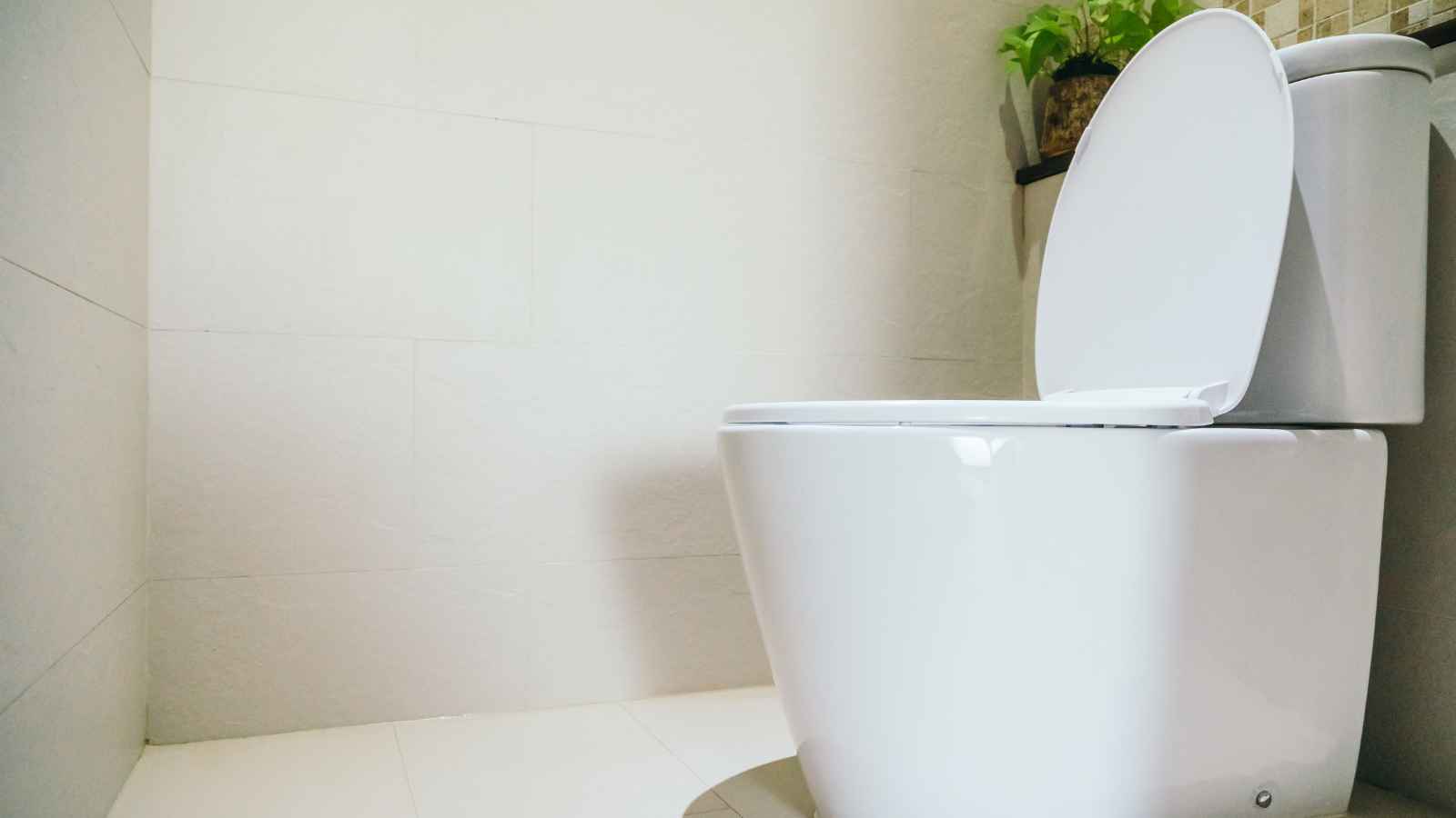 15 Genius Hacks for a Sparkling Clean Toilet
