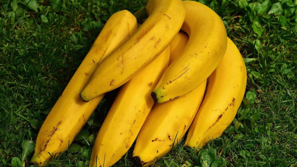 18 Kidney-Killing Foods You Should NEVER Eat for Better Health!