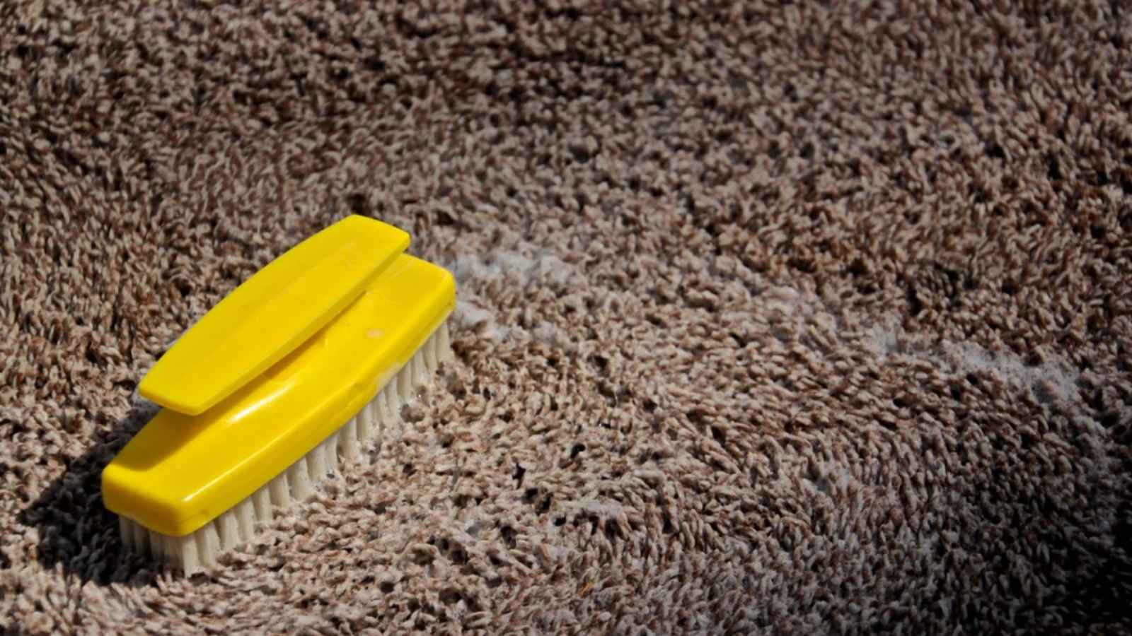 15 Genius Dawn Hacks for Your Kitchen (That Have Zero to Do with Washing Dishes!)