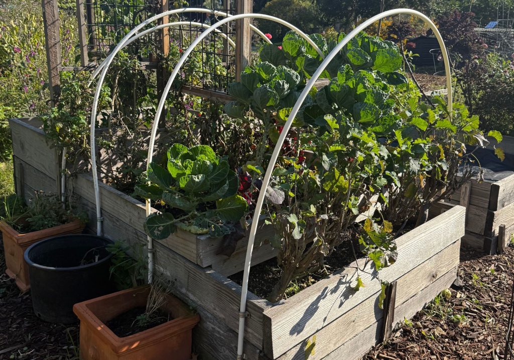 gardens lake merritt