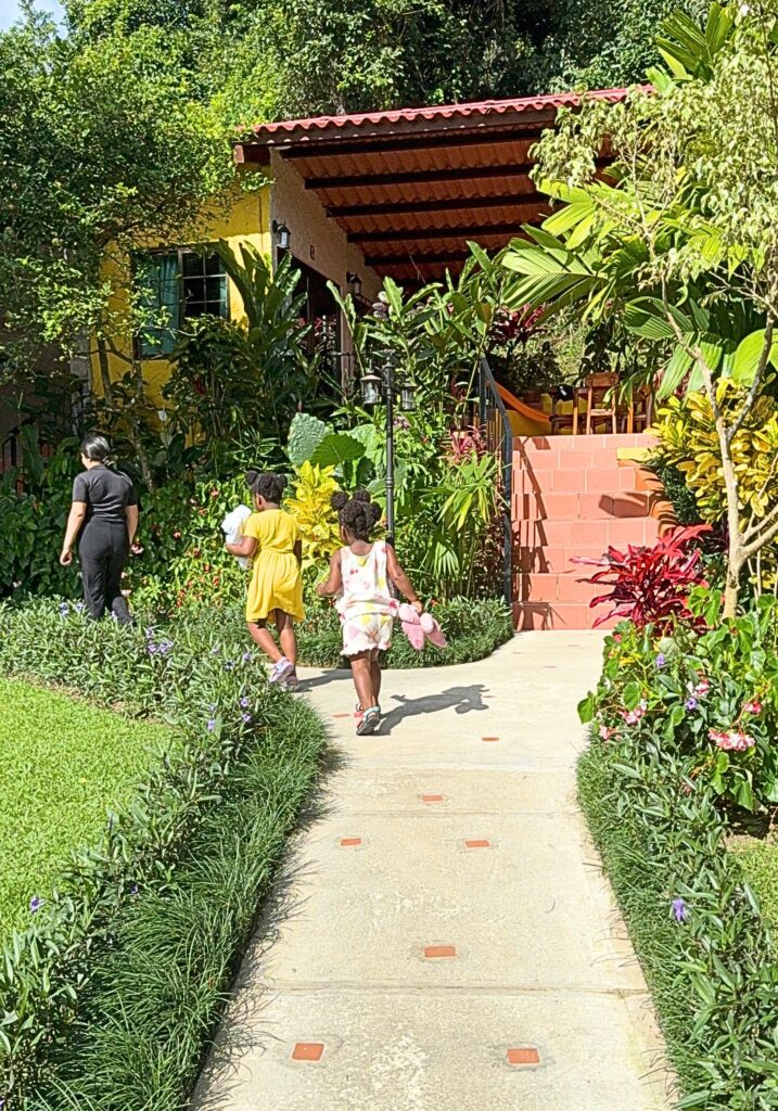panama frog inn