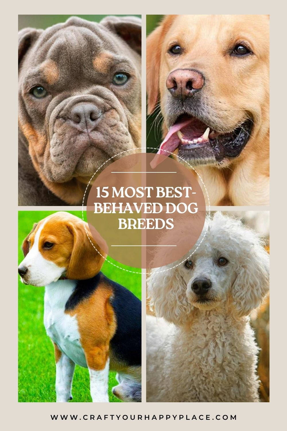 15 of The Most Best-Behaved Dog Breeds You Can Own - Craft Your Happy Place