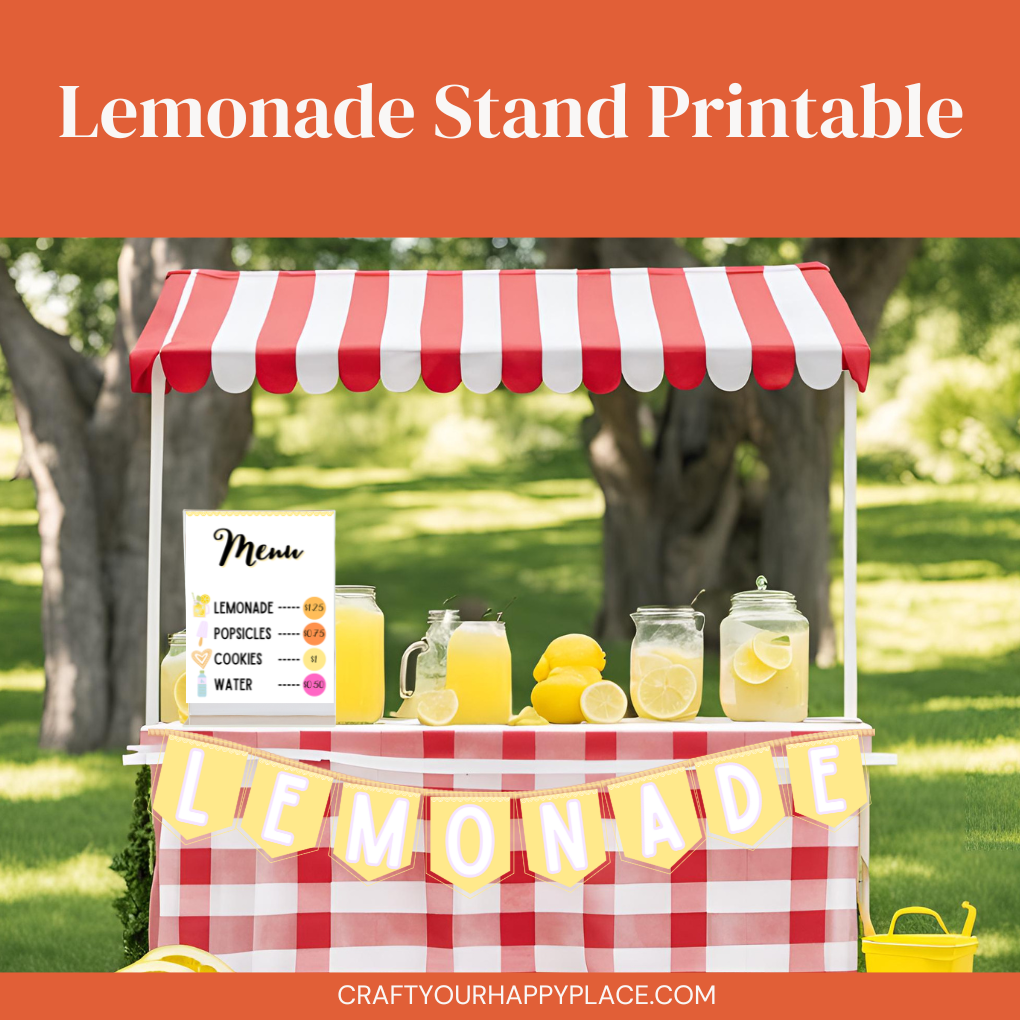 Summer Lemonade Stand and DIY Kit