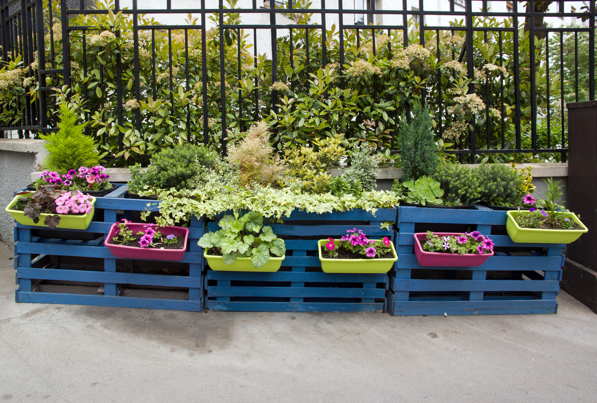 DIY Planter Boxes