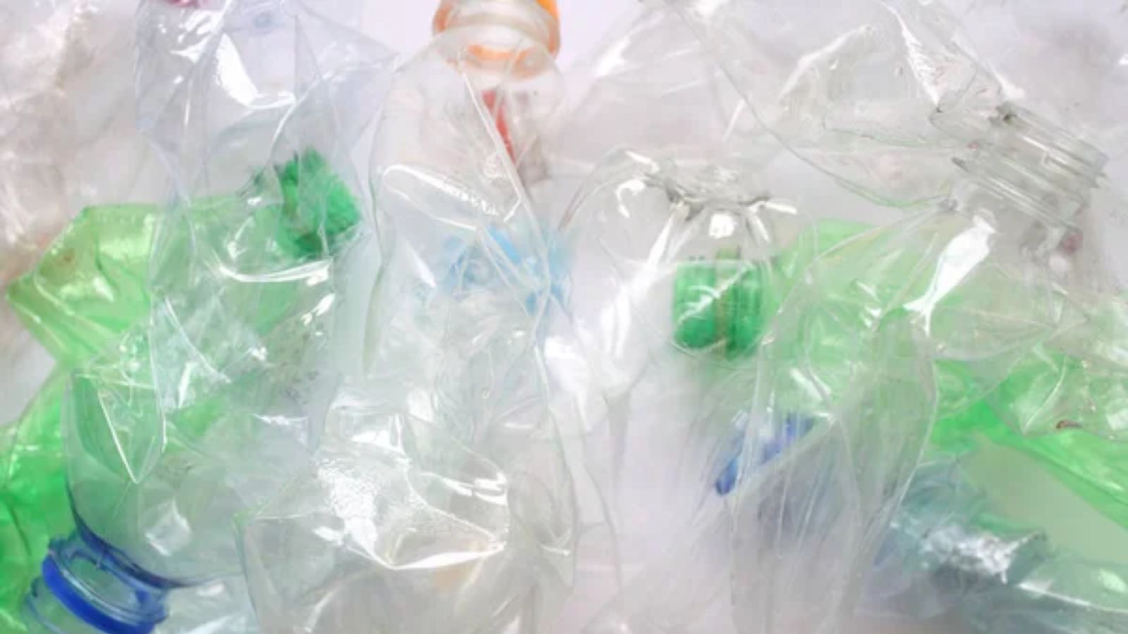 17 Things That Many People in the U.S. Think Should Be Made Illegal