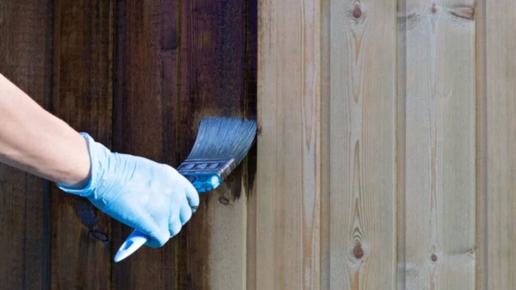 Quality Paintbrushes