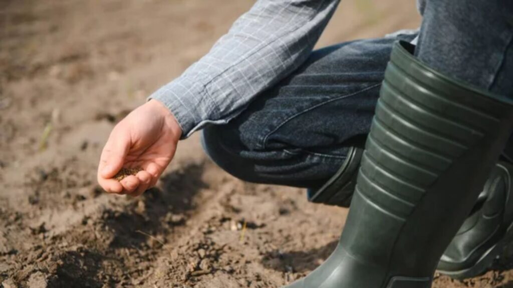 Sustainable Living Is Expensive