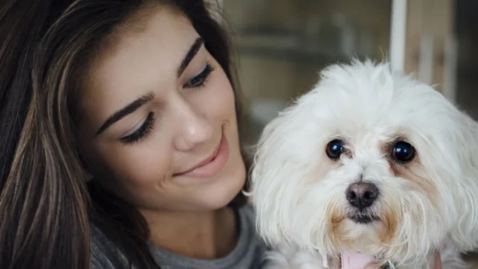 14 Easygoing Dog Breeds Every First-Time Owner Should Consider