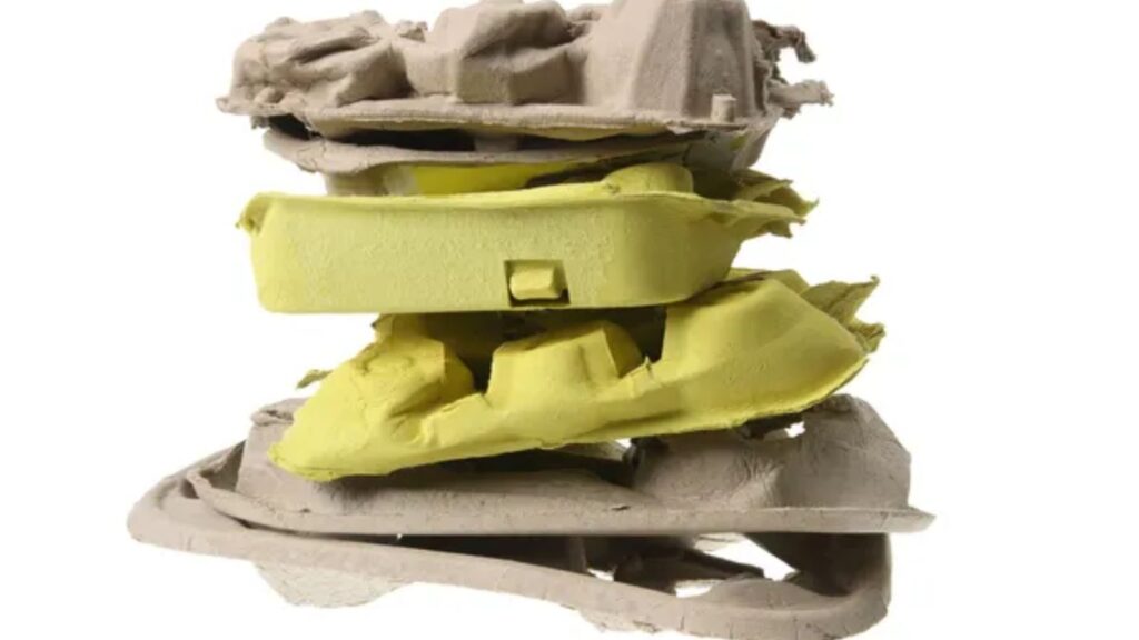 Egg Cartons