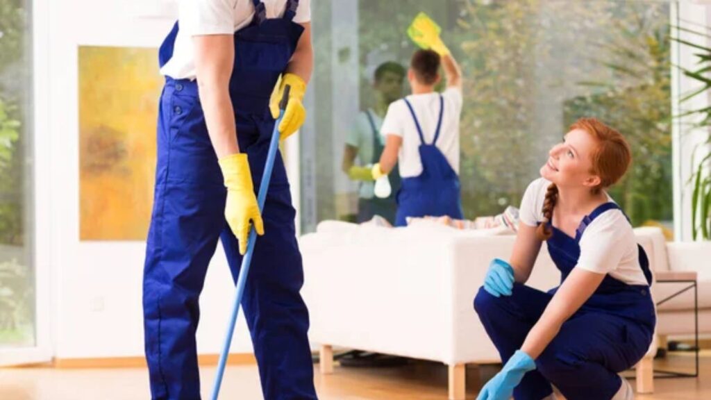 House Cleaner