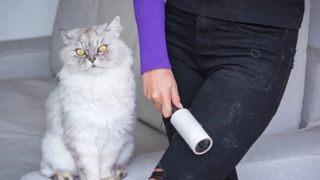 Lint Roller