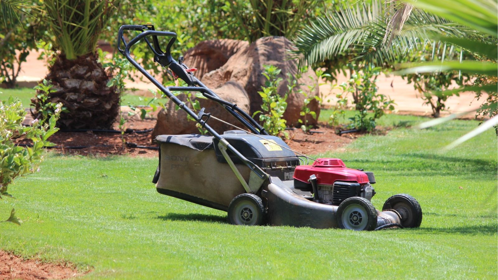 Mower