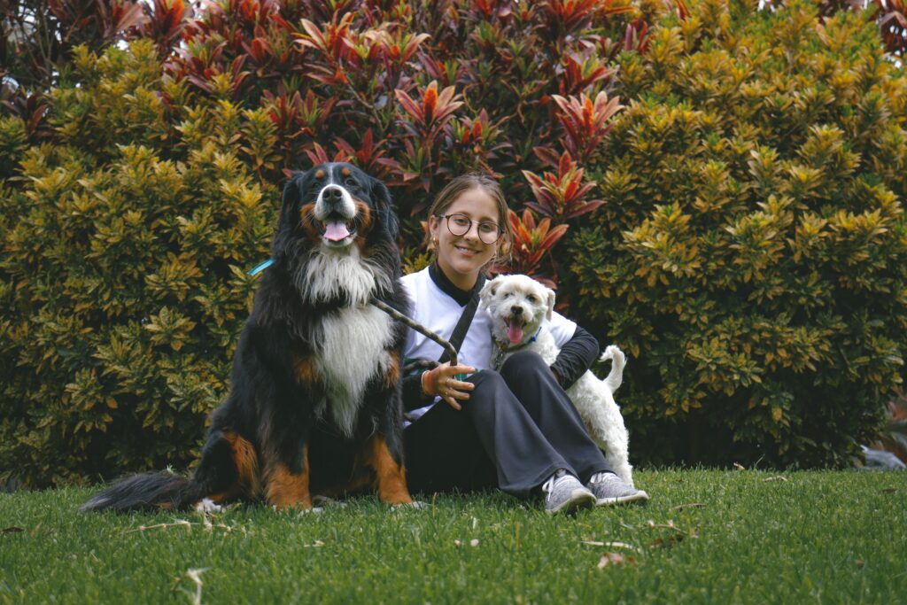Pet Sitter