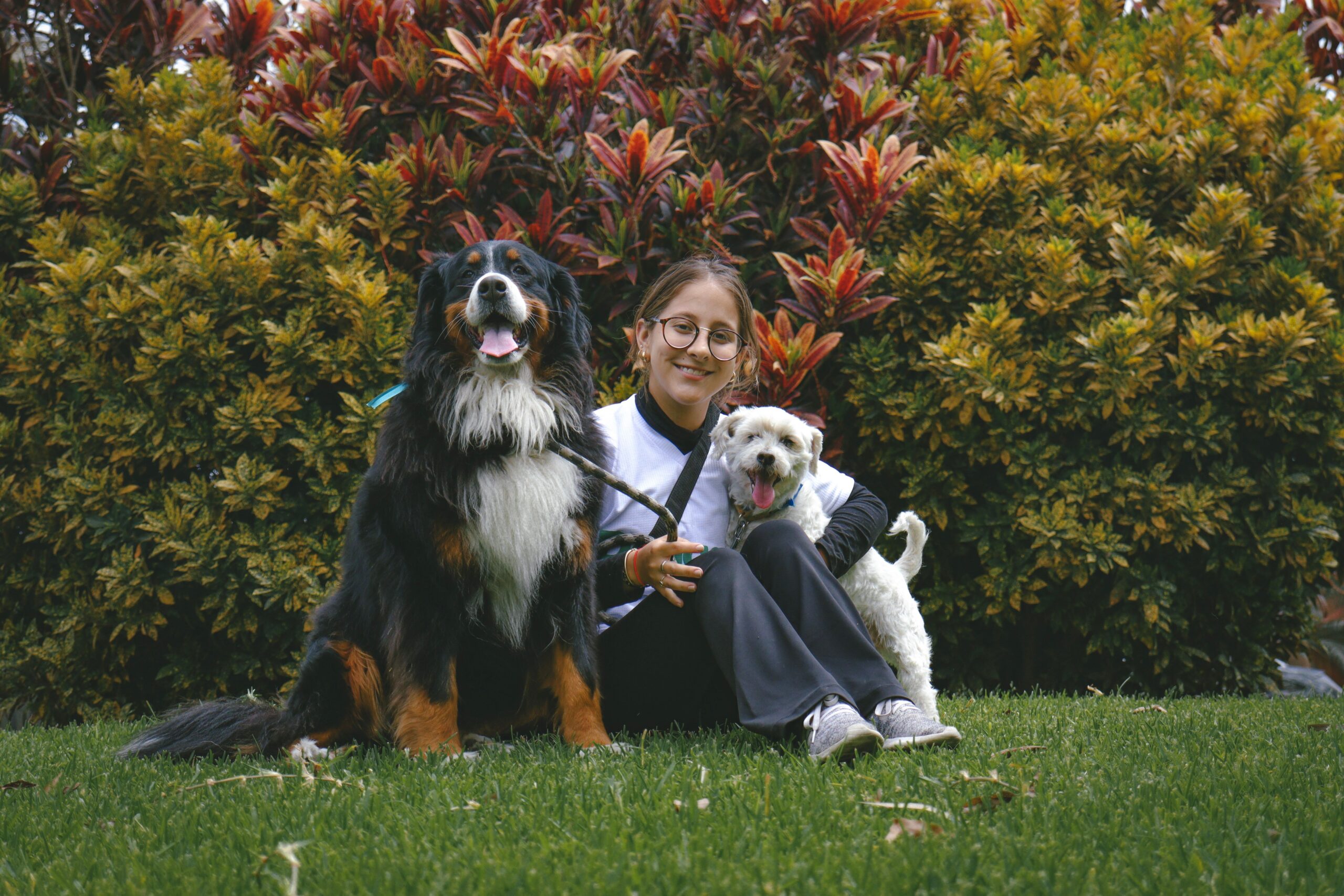Pet Sitter