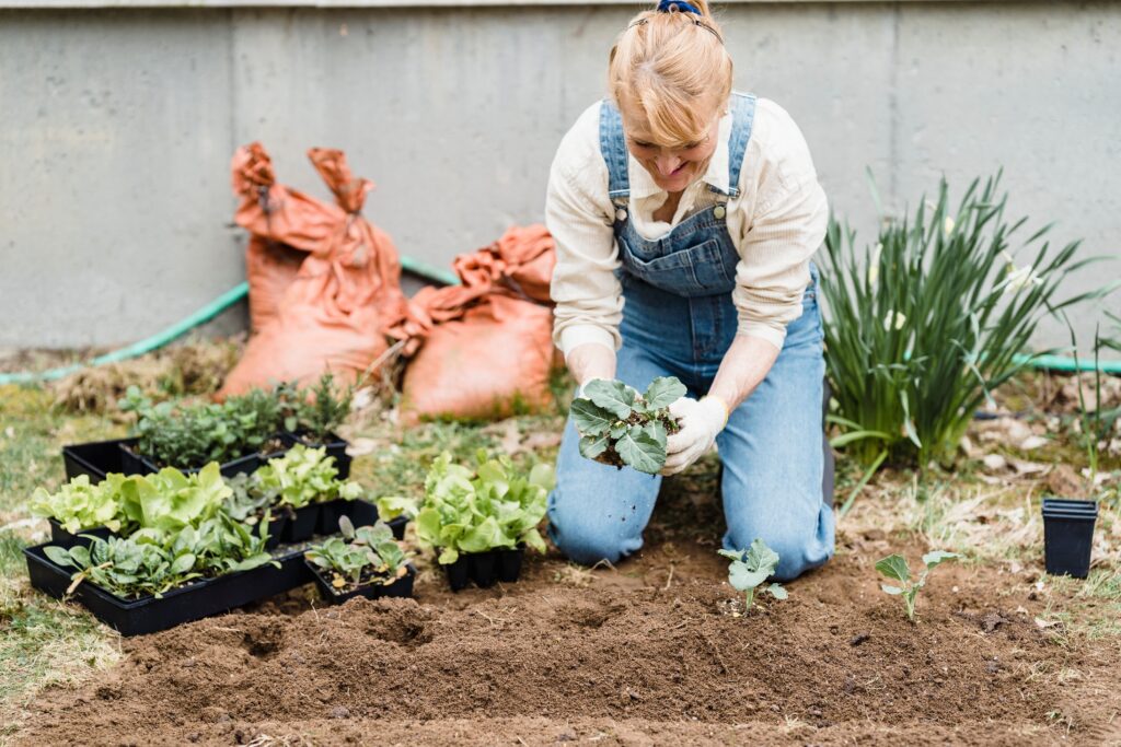home garden