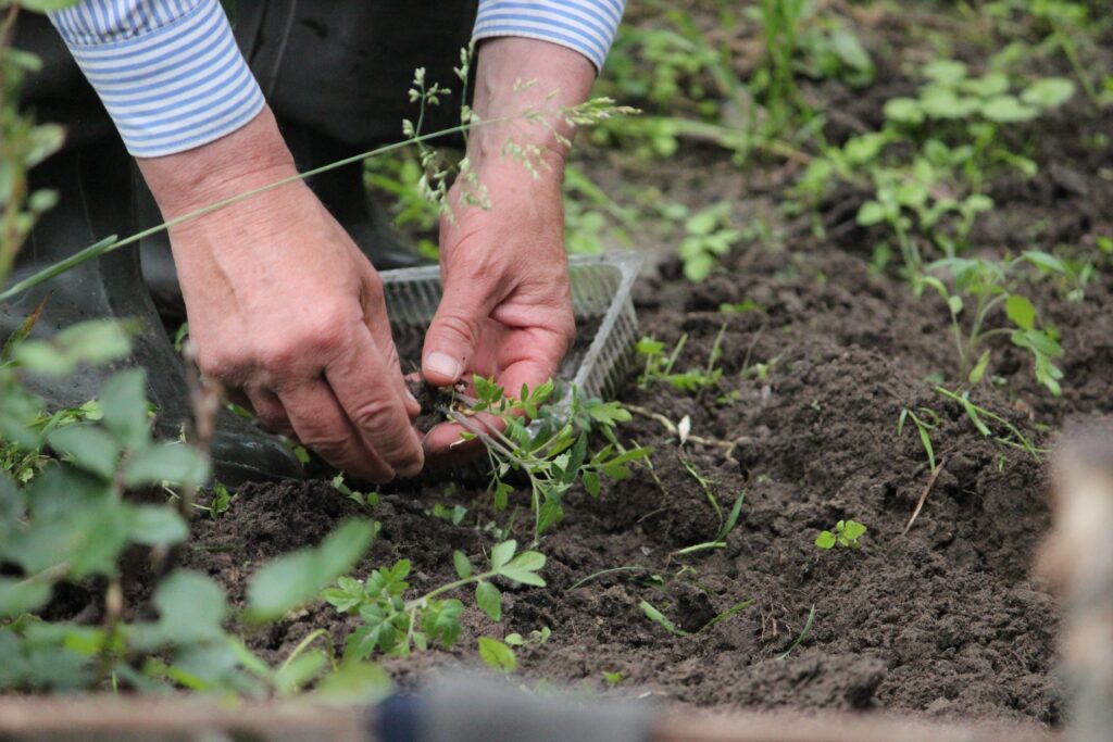 gardening